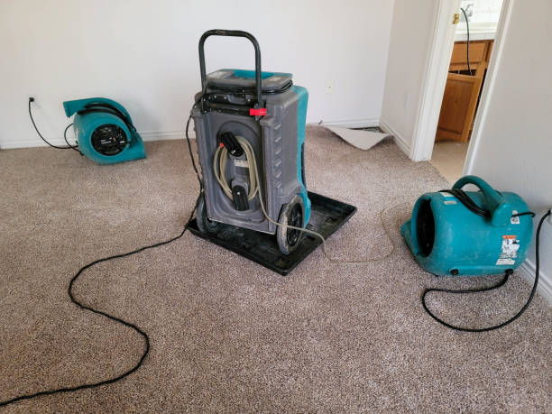 Best Residential water damage restoration  in Eleanor, WV