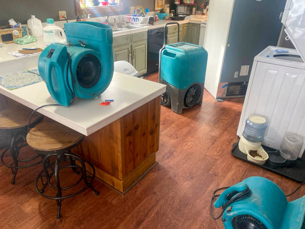 Best Water damage cleanup near me  in Eleanor, WV