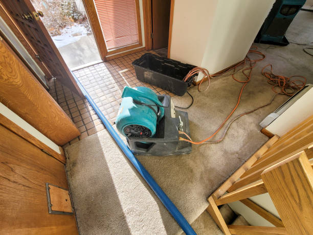  Eleanor, WV Water damage restoration Pros