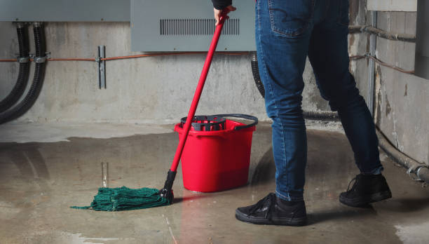 Best Flooded house restoration  in Eleanor, WV