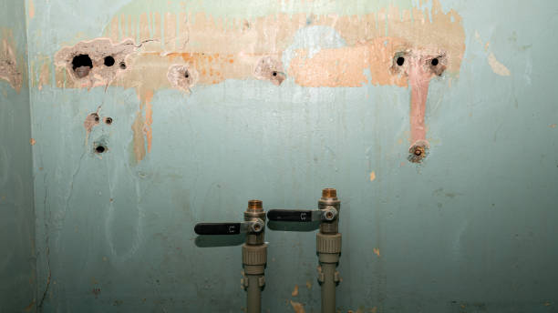 Best Water damage mitigation services  in Eleanor, WV