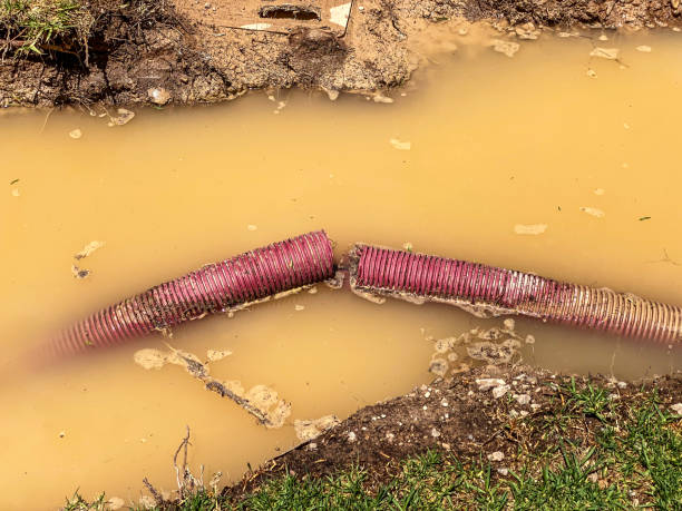 Best 24-hour water damage restoration  in Eleanor, WV